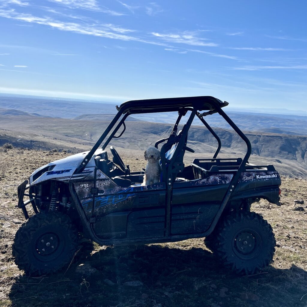 A small dog sits at the front of a Kawasaki UTV